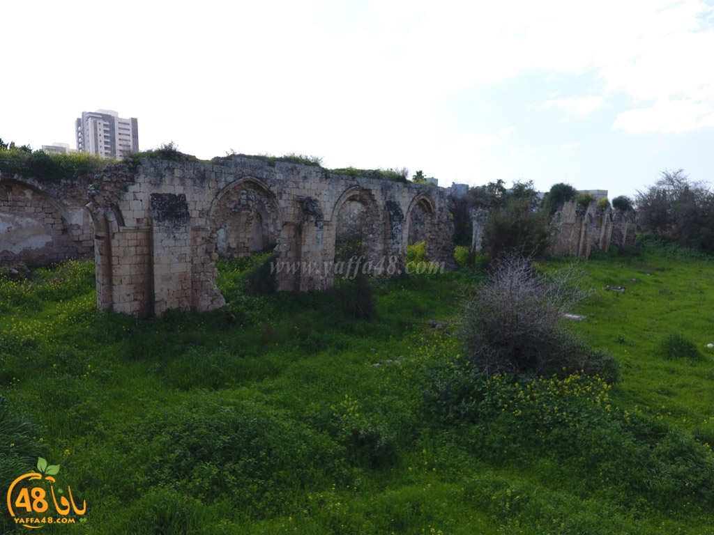 masjed abyad (22).JPG